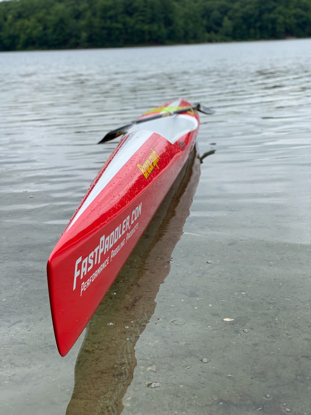 nelo-550-review-4098